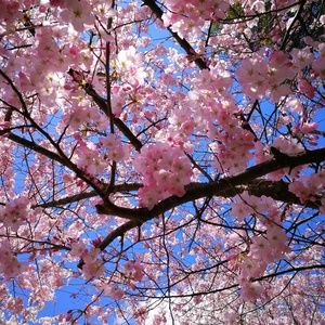 Meet your Posher, Einat